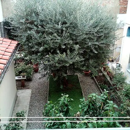 Pensión Il Bacchino Prato (Prato)